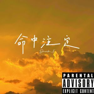 命中注定（DJ版）