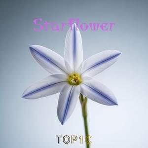 Starflower