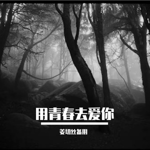 用青春去爱你
