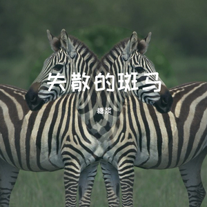 失散的斑马