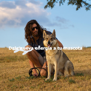 Number One (Rainy Days)