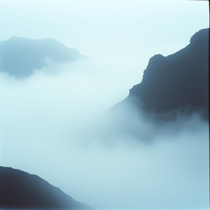 Shadows in the Mist_1