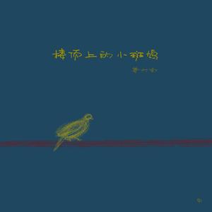 楼顶上的小斑鸠