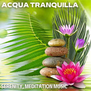 Rilassarsi Sotto La Pioggia