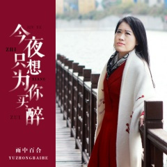 今夜只想为你买醉 (DJ版)