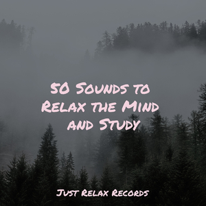 Echoes of Ember Skies