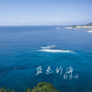 蓝色的海