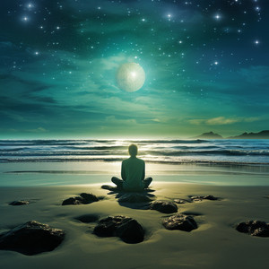 Dreamy Rain Drops for Cat's Sleep