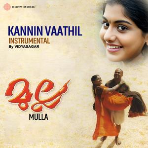 Kannin Vaathil (Instrumental)