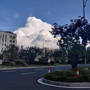 怎么了
