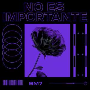 No Es Importante