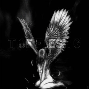 T of Flesh G