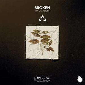 BROKEN