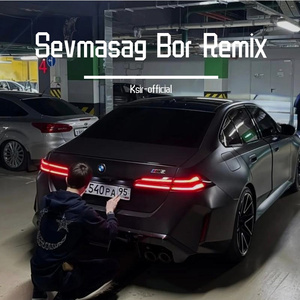 Sevmasag bor Remix