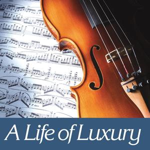 A symphony of lights