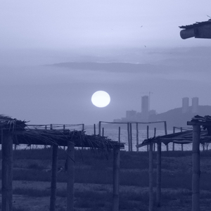 Reflexión de Yashar