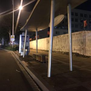 最爱的她