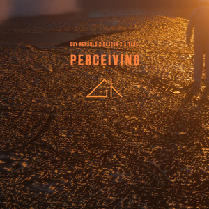 Perceiving (Extended Mix)