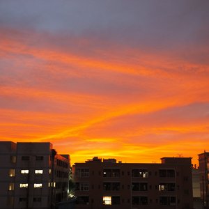 苦难是文学的沃土