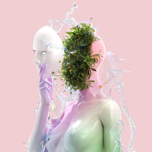 i am the mountain, the forest and the earth