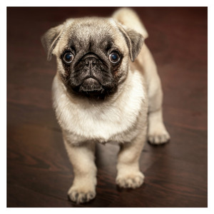 Lago di garda (Original Mix)