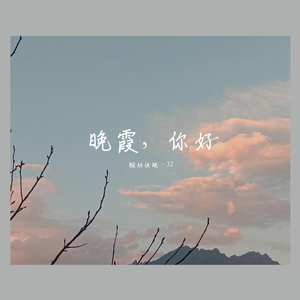 刘若英-后来，你芳依旧(Remix)