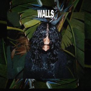 WALLS
