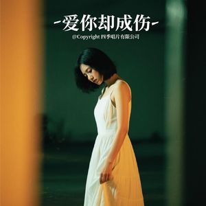 等待你的心回应