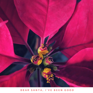 Christmas in Killarney (1950)