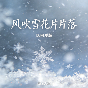 风吹雪花片片落(DJ 可爱版)