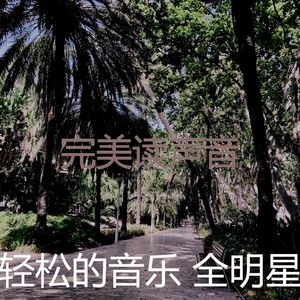 精彩假期环境