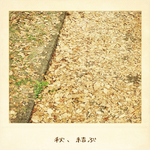秋風がまた