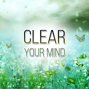 Native Flute Moments