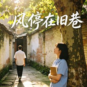 风停在旧巷