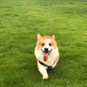 晴天娃娃(Prod. by ATTBeat)