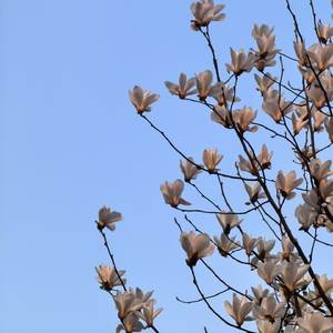 纸飞机与旧时光