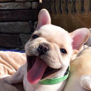 XXXTENTACION-音乐（老大不易-街头卖艺 remix）