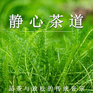 漫步云雾 禅意茶香