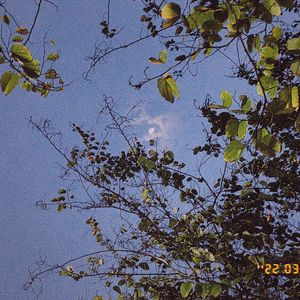 每到过生日就很忧郁