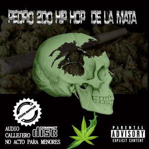 Pedro 2do Borrachos mariguanos cocainomanos volando