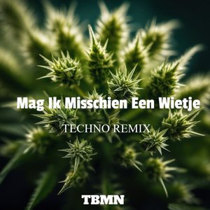 Mag Ik Misschien Een Wietje (Techno Remix)