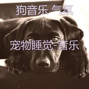 天堂般(休息的狗)