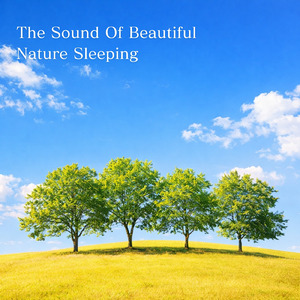 熟睡ギターBGM 睡眠の質を高めるヒーリング音楽 (自律神経を整える睡眠用 森 鳥)