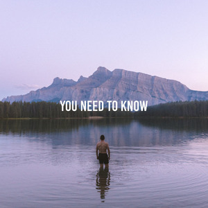 You Need to Know (Remix)