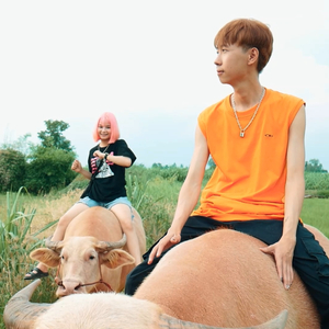 เมา (เวอร์ชั่นลูกทุ่ง)