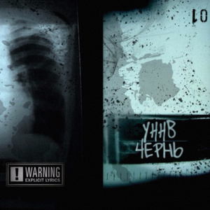 Сойдя с ума мы стелим