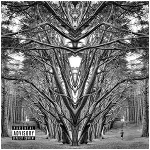 Spinning (feat. Alyssa)