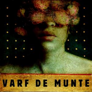 Varf de munte (feat. Braco)