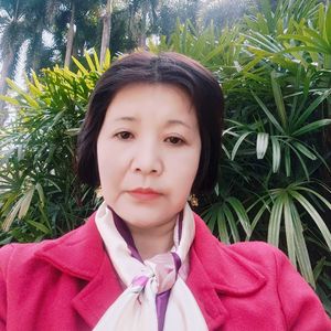 窗外的风窗外的雨