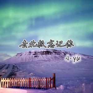去北极忘记你